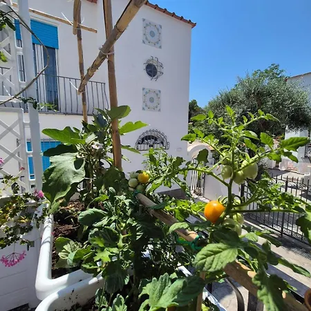 Hébergement de vacances Casa Apple Cake - Sweet Silvana Ischia